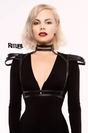 Aurora Harness