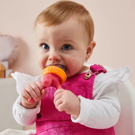 B.Box Silicone Food Feeder - Strawberry Shake