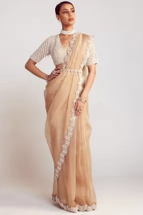 Beige Pearl Embellished Saree