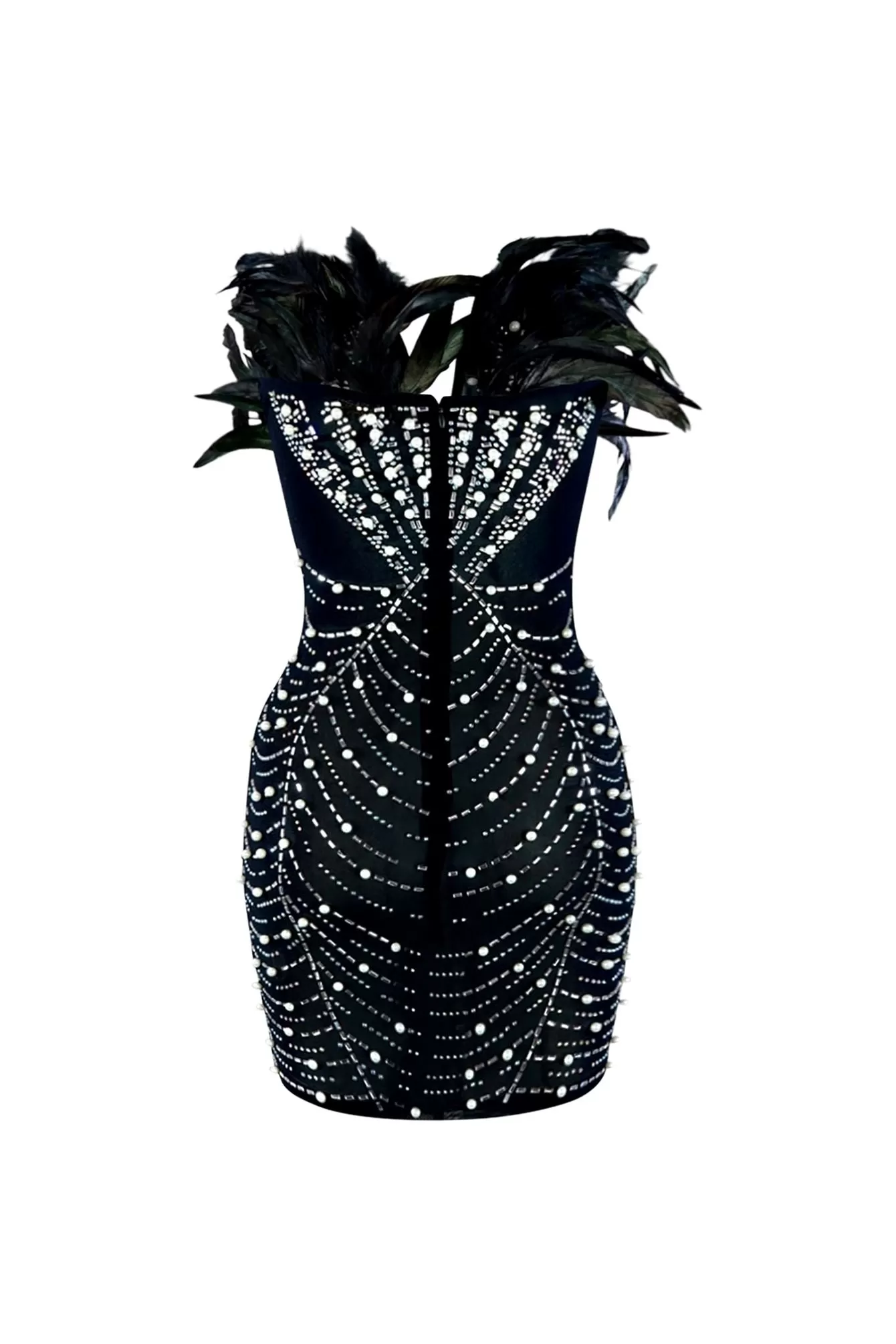 Black Swan Feather And Rhinestone Dress