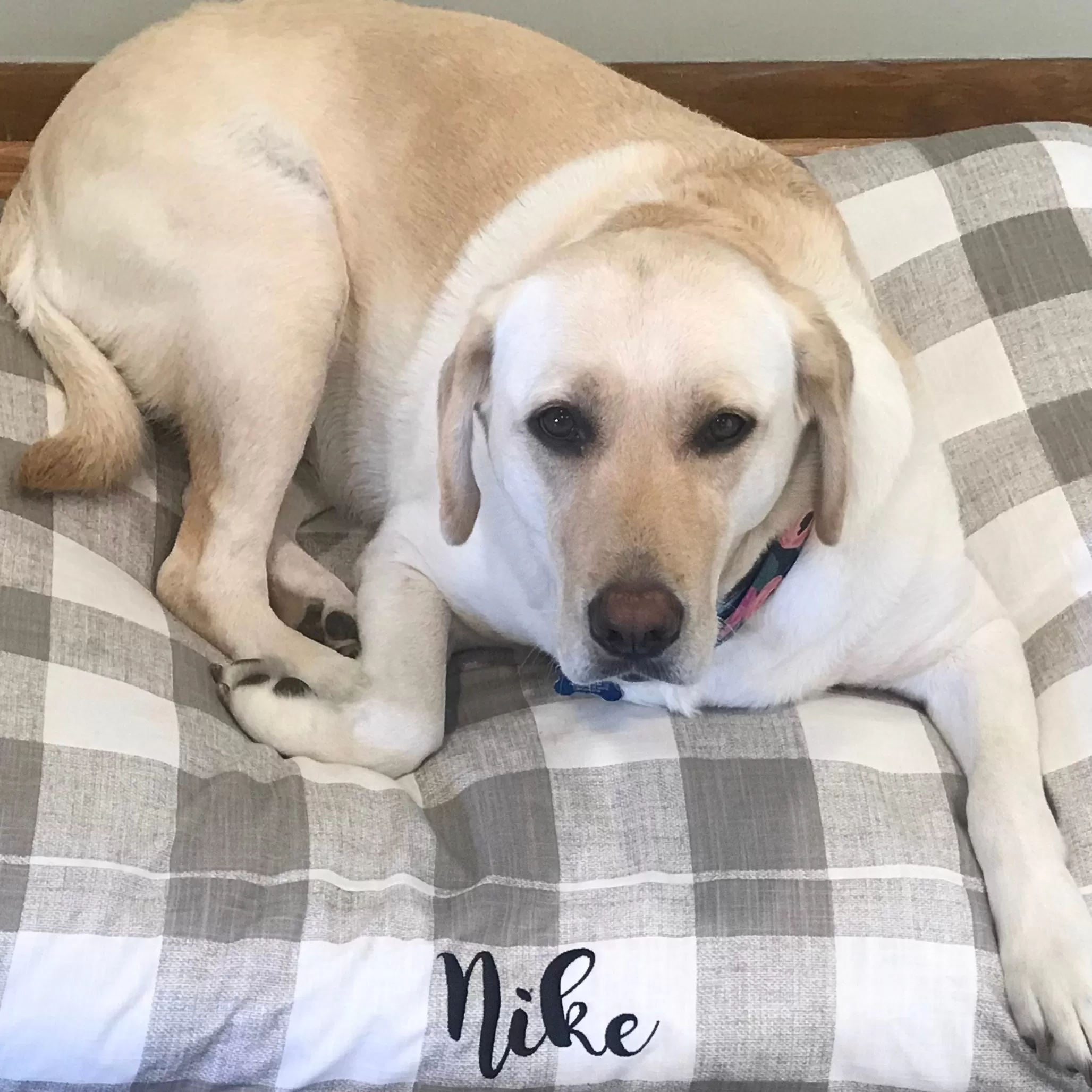 Buffalo Plaid Dog Beds with Personalization