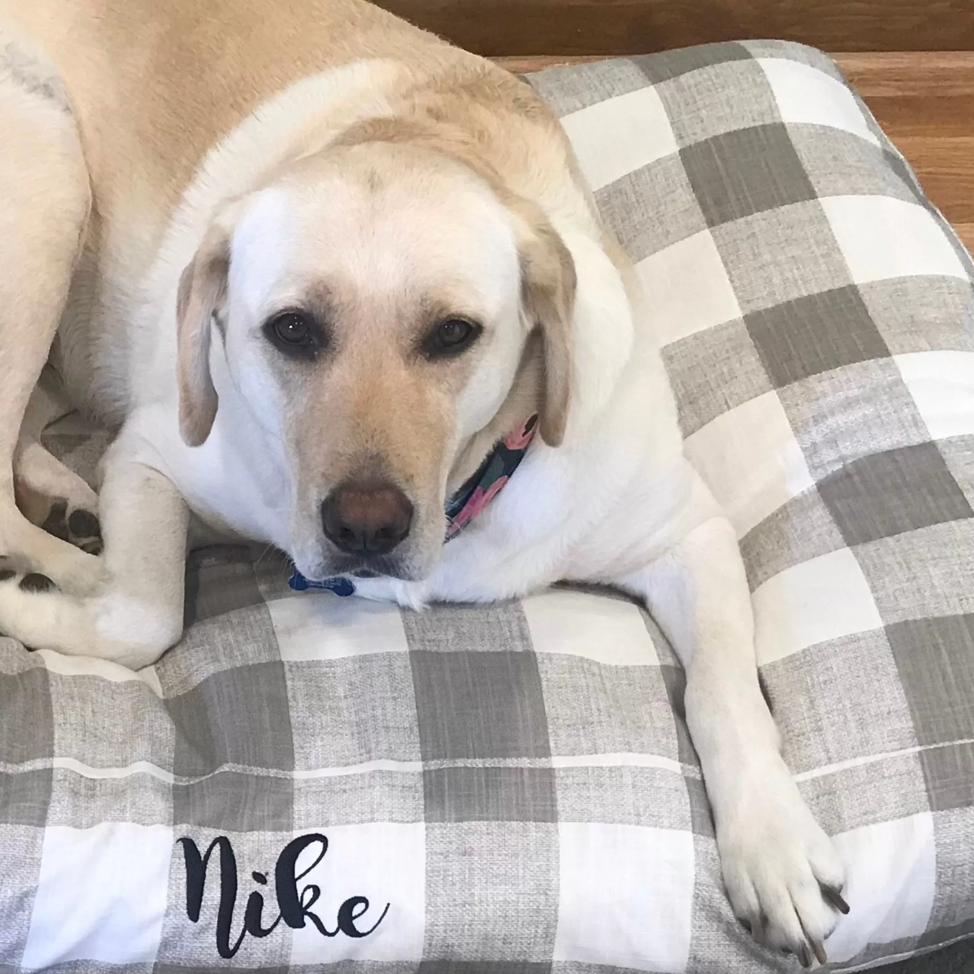 Buffalo Plaid Dog Beds with Personalization