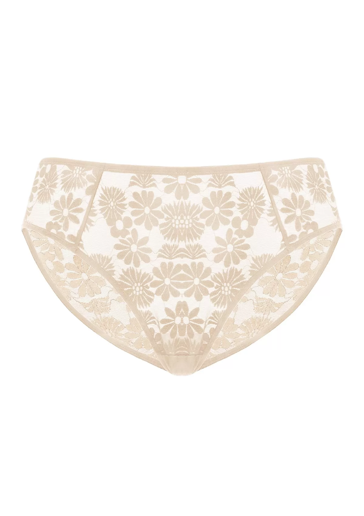 Daisy High-Rise Soft Comfort Lace Brief Underwear