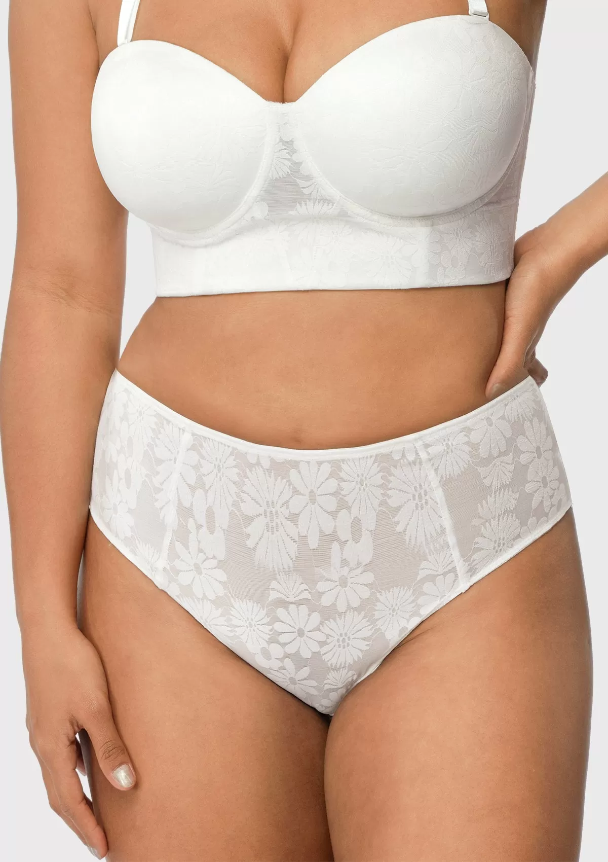 Daisy High-Rise Soft Comfort Lace Brief Underwear