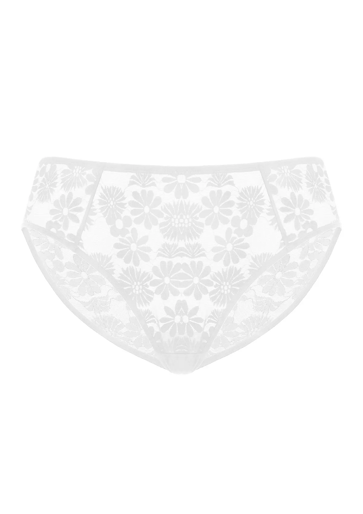 Daisy High-Rise Soft Comfort Lace Brief Underwear