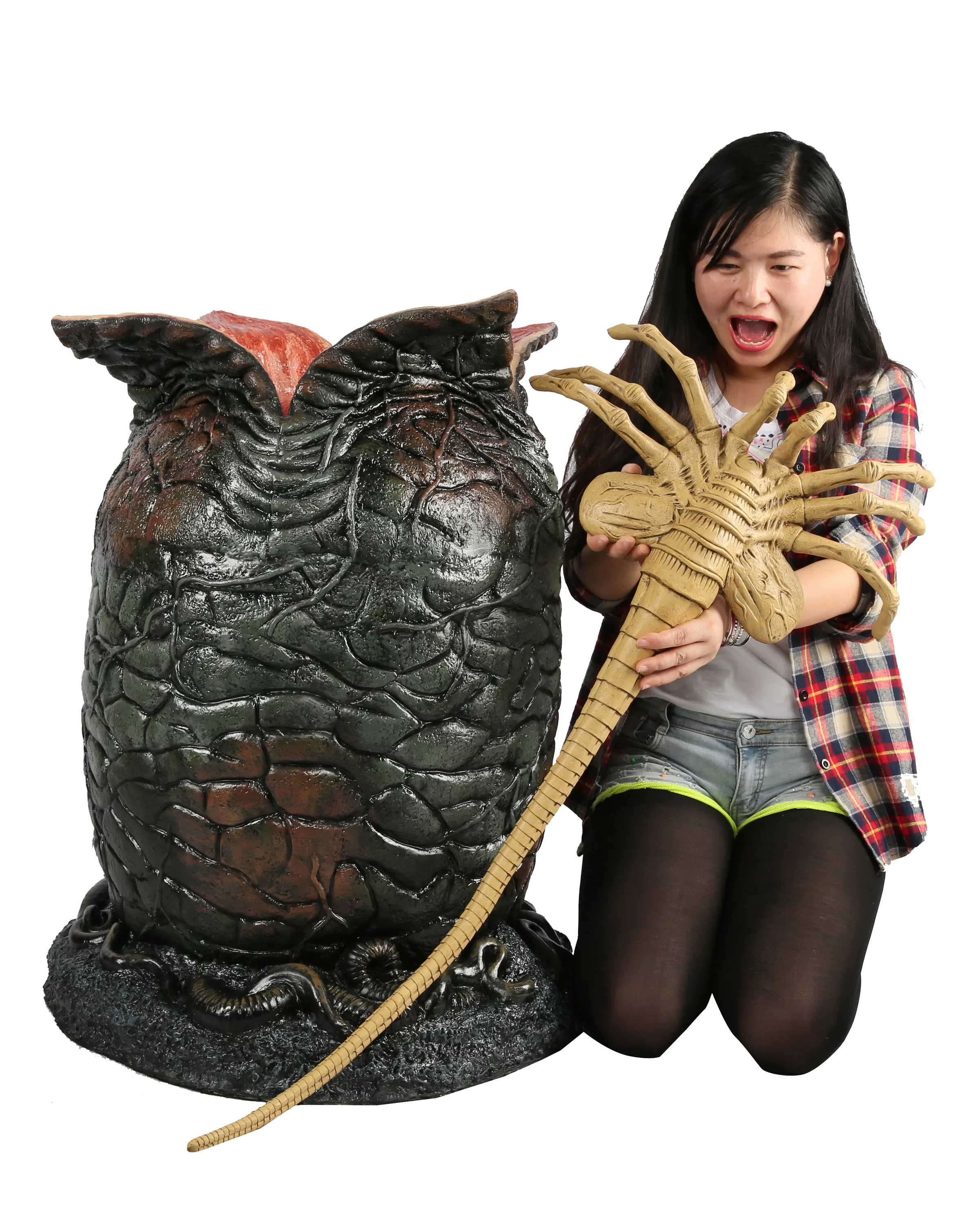 Egg & Facehugger Lifesize Foam Prop Replica - Alien - NECA Collectibles