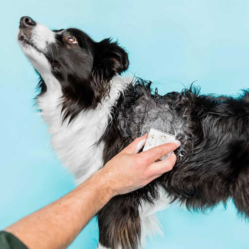 Shampooch Unscented Solid Dog Shampoo